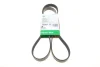 Ремінь генератора Opel Astra 1.7CDTI 04-10/ Subaru Outback 3.0-3.6 05-/ VW Passat 3.2 05- (6PK1623) FB 6PK1623 INA FB-6PK1623 (фото 1)