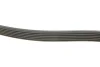 Ремінь генератора Opel Astra 1.7CDTI 04-10/ Subaru Outback 3.0-3.6 05-/ VW Passat 3.2 05- (6PK1623) FB 6PK1623 INA FB-6PK1623 (фото 3)