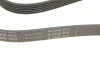 Ремінь генератора Opel Astra 1.7CDTI 04-10/ Subaru Outback 3.0-3.6 05-/ VW Passat 3.2 05- (6PK1623) FB 6PK1623 INA FB-6PK1623 (фото 4)