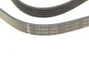 Ремінь генератора Opel Astra 1.7CDTI 04-10/ Subaru Outback 3.0-3.6 05-/ VW Passat 3.2 05- (6PK1623) FB 6PK1623 INA FB-6PK1623 (фото 5)