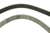 Ремінь генератора Ford Escort 1.4-1.8 92-00/Renault Laguna 1.8 93-01/VW Golf II/Passat B3/B4 88-97 FB 6PK1653 INA FB-6PK1653 (фото 4)