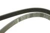 Ремінь генератора Ford Escort 1.4-1.8 92-00/Renault Laguna 1.8 93-01/VW Golf II/Passat B3/B4 88-97 FB 6PK1653 INA FB-6PK1653 (фото 5)