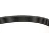 Ремінь генератора Fiat Doblo 1.3/1.6D 10-/Ducato 2.2D/Ford Transit 2.2TDCI 06- FB 6PK1670 INA FB-6PK1670 (фото 4)