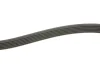 Ремінь генератора Citroen Berlingo 1.6HDI 06-/Fiat Ducato/Doblo 2.0D 10-/Scudo 1.6D 07- (6PK1705) FB 6PK1705 INA FB-6PK1705 (фото 3)