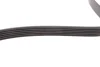 Ремінь генератора VW LT 2.5TDI 96-01/Peugeot Expert 1.9D/2.0HDI 98- FB 6PK1750 INA FB-6PK1750 (фото 3)