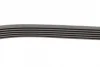 Ремінь генератора Opel Combo/Astra/Vectra/Omega 1.2-2.2 91-03/BMW 1 (E81/E87) 2.0D 04-11 FB 6PK1800 INA FB-6PK1800 (фото 2)