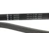 Ремінь генератора MB C-class (W202/203)/E-class (W124/W210/211) M112/M113 FB 6PK2390 INA FB-6PK2390 (фото 3)