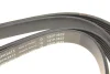 Ремінь генератора Audi A4/A5/A6 3.0 TDI/3.2 FSI 05-/ MB E-class (W124/S124) 2.8-3.0T 93-96 (6PK2413) FB 6PK2413 INA FB-6PK2413 (фото 4)