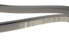 Ремінь генератора Audi A4/A5/A6 3.0 TDI/3.2 FSI 05-/ MB E-class (W124/S124) 2.8-3.0T 93-96 (6PK2413) FB 6PK2413 INA FB-6PK2413 (фото 5)