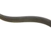 Ремінь генератора Citroen Jumper/Fiat Ducato/Peugeot Boxer 2.0 94- (6PK700) FB 6PK700 INA FB-6PK700 (фото 2)