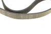 Ремінь генератора Citroen Jumper/Fiat Ducato/Peugeot Boxer 2.0 94- (6PK700) FB 6PK700 INA FB-6PK700 (фото 3)