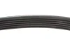Ремінь генератора Citroen Berlingo/Peugeot Partner 1.6HDI (6PK800) FB 6PK800 INA FB-6PK800 (фото 3)