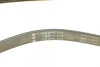Ремінь генератора Opel Movano 2.5D 98-00/Peugeot Boxer/Citroen Jumper 2.0/2.2HDi 02- FB 6PK875 INA FB-6PK875 (фото 4)