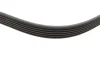 Ремінь генератора Fiat Scudo 1.6/ Renault Kangoo 1.9D 97-/ VW Golf/ Passat 1.6-2.0 90-02 (6PK894) FB 6PK894 INA FB-6PK894 (фото 3)