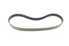 Ремінь генератора Fiat Scudo 1.6/ Renault Kangoo 1.9D 97-/ VW Golf/ Passat 1.6-2.0 90-02 (6PK894) FB 6PK894 INA FB-6PK894 (фото 4)