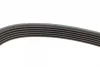 Ремінь генератора VW Golf/Skoda Octavia 2.0i 04-13/Mazda 2/3 1.5 13-/Kia Ceed/Cerato 1.4/1.6 07- FB 6PK955 INA FB-6PK955 (фото 3)