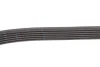 Ремінь генератора Peugeot Partner 1.6 HDI 08-/Ford Connect 1.6TDCi 13- (+AC) FB 6PK975 INA FB-6PK975 (фото 3)