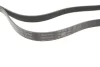 Ремінь генератора Chevrolet Lacetti/Nubira 2.0D 05-/Honda Civic IX 1.6/1.8 i-VTEC 11-16 FB 6XPK2093 INA FB-6XPK2093 (фото 2)