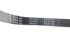Ремінь генератора Toyota Hilux 2.5 D-4D 01-15 FB 7PK1093 INA FB-7PK1093 (фото 2)