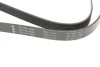 Ремінь генератора BMW X5 (E70) 4.8i 07-08/Renault Master/Opel Movano 2.3 dCi/CDTI 10- (7PK1666) FB 7PK1666 INA FB-7PK1666 (фото 3)