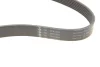 Ремінь генератора Toyota Camry/Avensis/RAV4 2.0/2.4 00-/Land Cruiser Prado 3.0D 00- FB 7PK1933 INA FB-7PK1933 (фото 5)