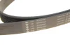 Ремінь генератора Land Rover Range Rover Sport 05-13/Discovery 2.7D 04- (8PK2093) FB 8PK2093 INA FB-8PK2093 (фото 4)