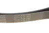 Ремінь генератора Land Rover Range Rover Sport 05-13/Discovery 2.7D 04- (8PK2093) FB 8PK2093 INA FB-8PK2093 (фото 5)