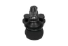 Опора кульова (передня/знизу) Daewoo Evanda 2.0 DOHC 16V 02-04 (d=18mm) PARTS KAVO SBJ-1010 (фото 3)