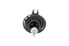 Амортизатор (передній) Lexus RX 08-15 (L) PARTS KAVO SSA-10648 (фото 3)