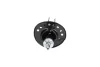 Амортизатор (передній) Nissan Juke 10- (R) PARTS KAVO SSA-6528 (фото 3)