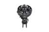 Амортизатор (передній) Subaru Legacy IV 03-09 (L) PARTS KAVO SSA-8004 (фото 1)