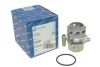 Помпа води Skoda Octavia 1.9TDI 96-10/VW Caddy/Golf 1.9TDI/SDI 96-05(після пробного встановлення) DSC_50005132 KOLBENSCHMIDT DSC-50005132 (фото 4)