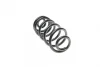 Пружина (задня) BMW X6 (E71/E72) 30d/35d/i/40d/50i xDrive 07-14 (SUV) (з пост.d)(без AdaptiveDrive) LESJOFORS 4208498 (фото 3)