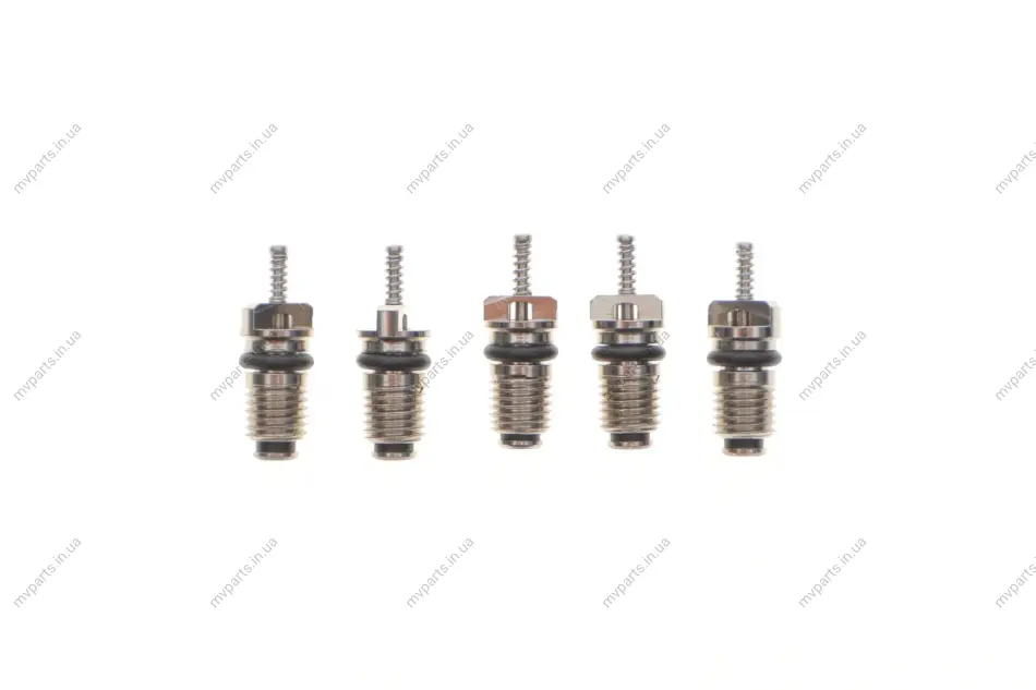 Комплект заправних клапанів (21,55x7mm) (5 шт.) MAGNETI MARELLI 007950024440 (фото 1)