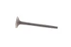 Клапан (впуск) MB OM 611-612 MAHLE 001 VE 30532 000 MAHLE / KNECHT 001-VE-30532-000 (фото 3)