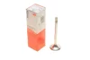 Клапан (впуск) Fiat Brava/Marea 1.9/2.4TD 94-02 (37.5x8x114.5) MAHLE 007 VE 30718 100 MAHLE / KNECHT 007-VE-30718-100 (фото 1)