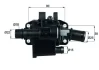 Термостат Citroen Nemo 1.4HDI 09-/Ford Fiesta 01-/Fusion 1.4TDCi 02-12 MAHLE TH 42 83 MAHLE / KNECHT TH-42-83 (фото 1)