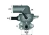 Термостат Chrysler Voyager IV 2.5 CRD/2.8 CRD 00-09 MAHLE TI 133 88D MAHLE / KNECHT TI-133-88D (фото 1)