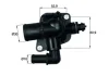 Термостат Fiat Doblo/Opel Combo 1.3D/CDTI 10- (88°C) MAHLE TI 150 88 MAHLE / KNECHT TI-150-88 (фото 1)