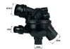 Термостат BMW 3 (E90-E93)/5 (E60/E61) 1.6/2.0 (N43) 07-10 MAHLE TM 19 102 MAHLE / KNECHT TM-19-102 (фото 1)