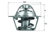 Термостат Ford Focus 1.4/1.6 04-12 (74°C) MAHLE TX 121 74D MAHLE / KNECHT TX-121-74D (фото 1)