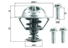 Термостат Ford Focus II/Mondeo IV/Volvo XC70 II/V70 III/ S80 II 2.5/V50/C70 II 2.4/2.5 MAHLE TX 202 90D MAHLE / KNECHT TX-202-90D (фото 1)
