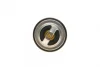 Термостат VW LT/Crafter 2.5SDI/TDI 96-13 (71°C) MAHLE TX 25 71D MAHLE / KNECHT TX-25-71D (фото 8)
