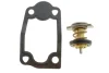 Термостат Citroen Jumper/Fiat Ducato/Peugeot Boxer 3.0HDI 06- MAHLE TX 266 79D MAHLE / KNECHT TX-266-79D (фото 1)