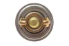 Термостат Ford Fiesta/Focus 1.4-1.6 16V 95-08 MAHLE TX 5 83D MAHLE / KNECHT TX-5-83D (фото 3)