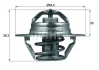 Термостат Citroen Jumper 2.0 94-02/Peugeot Partner 1.1-1.4 96-15/Renault Kangoo 1.9 TDI 00- (88 °C) MAHLE TX 88 88D MAHLE / KNECHT TX-88-88D (фото 1)