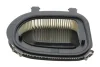 Фільтр повітряний BMW X3 (F25)/X5 (E70/F15) 2.0d N47/3.0d N57 10-17/X6 (E71) 3.0d N57 10-14 -FILTER C 36 014 MANN C-36-014 (фото 2)