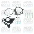 Ремкомплект насосу вакуумного VW Golf V/Passat B6/Touran 2.0 TDI 03-10 MEAT & DORIA MEAT&DORIA 91110 (фото 1)