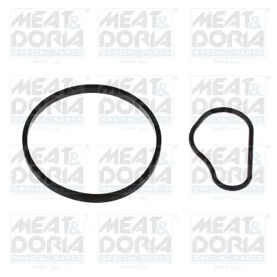 Прокладка насосу вакуумного (к-кт) Fiat Scudo/Citroen Berlingo/Peugeot Expert 1.6D/HDi 07- MEAT & DORIA MEAT&DORIA 91252 (фото 1)