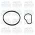 Прокладка насосу вакуумного (к-кт) Fiat Scudo/Citroen Berlingo/Peugeot Expert 1.6D/HDi 07- MEAT & DORIA MEAT&DORIA 91252 (фото 1)